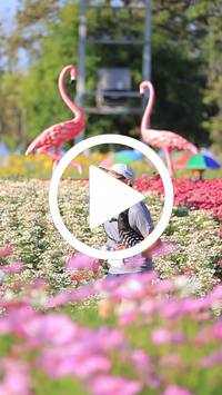 BIB:  <button type="button" onclick="openModal(27588538)" class="btn btn-primary btn-sm float-right" data-toggle="modal" data-target=".modal-high-quality">
                <i class="fa fa-download"></i> Download
                </button>